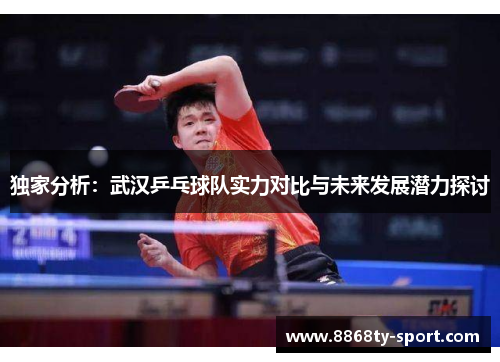 独家分析：武汉乒乓球队实力对比与未来发展潜力探讨